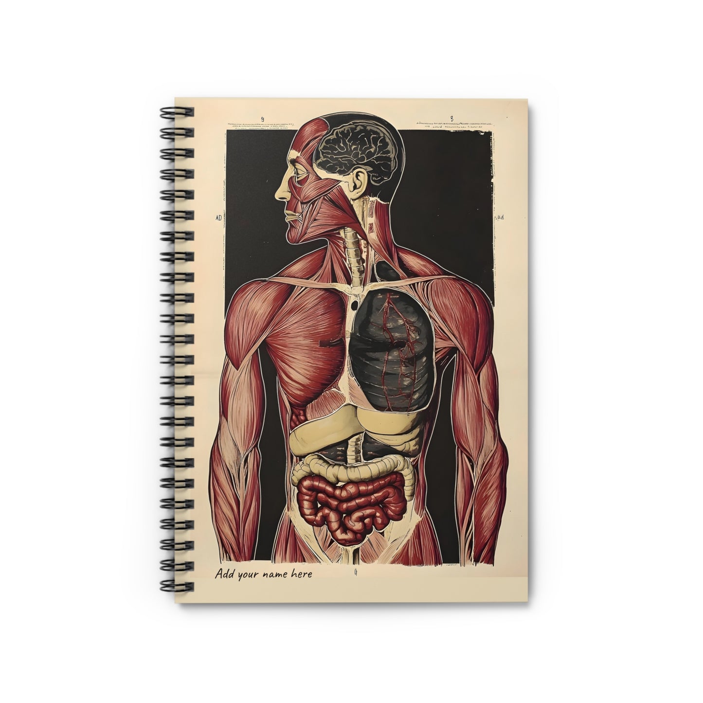 Anatomical Spiral Notebook - Vintage Anatomical Illustration - Ruled Line