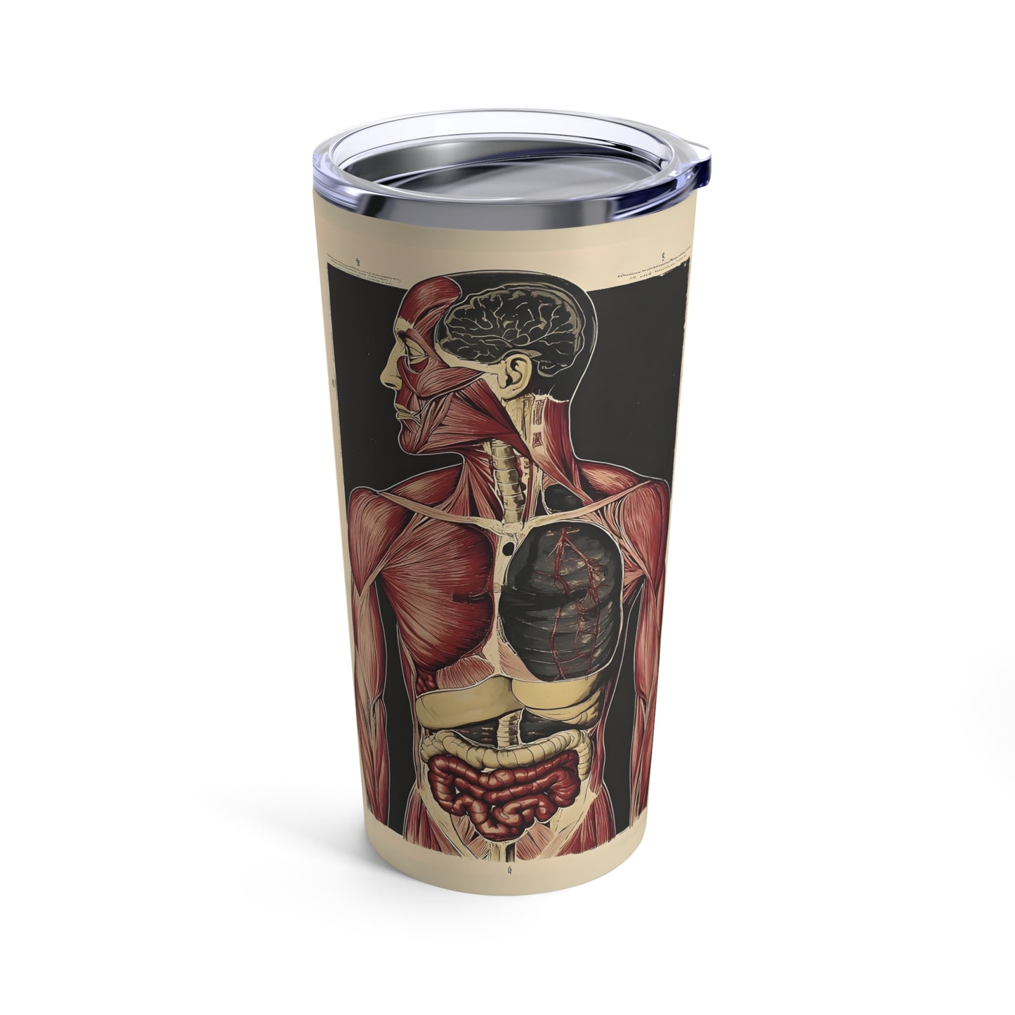 Tumbler 20oz  - Anatomical Human Body Illustration