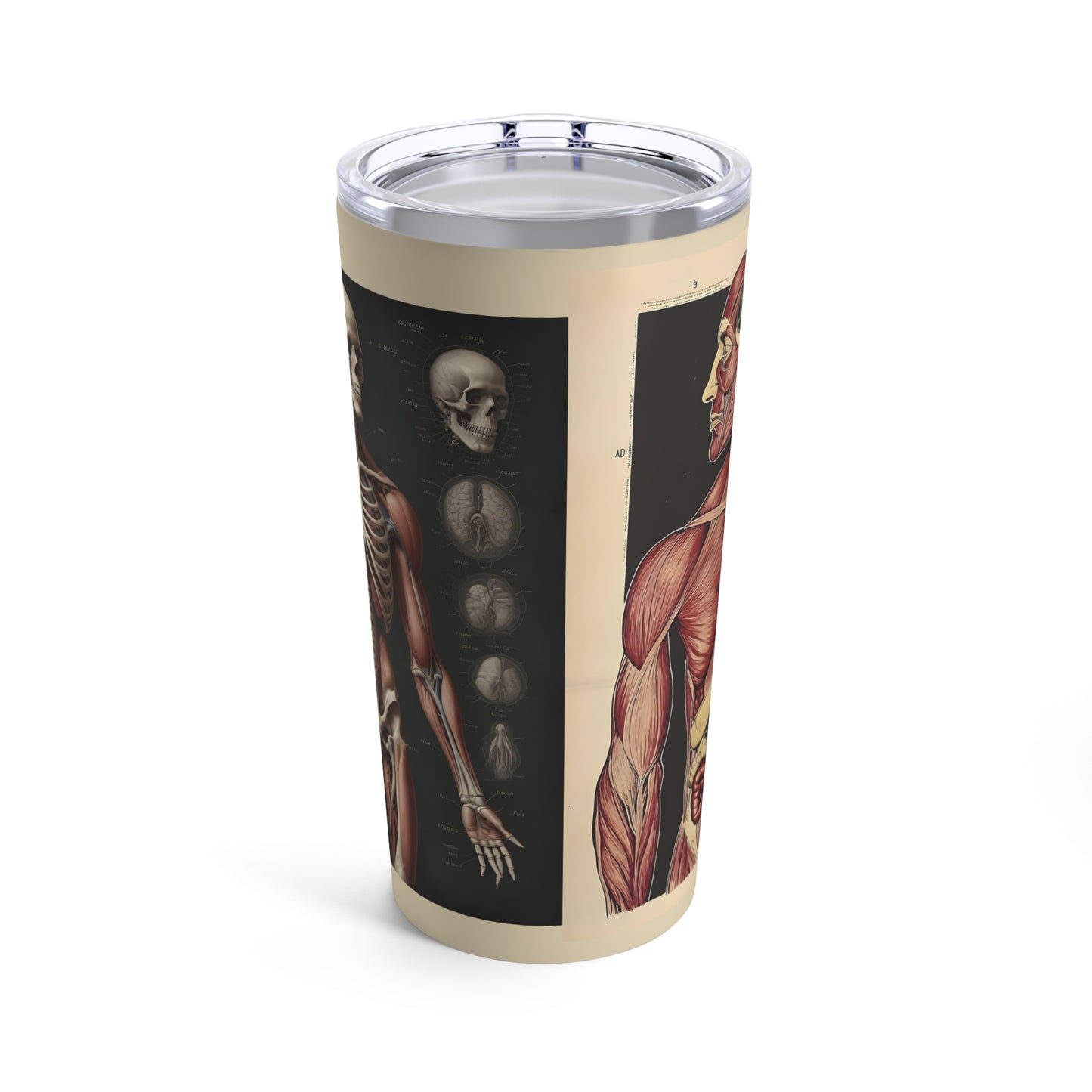 Tumbler 20oz  - Anatomical Human Body Illustration