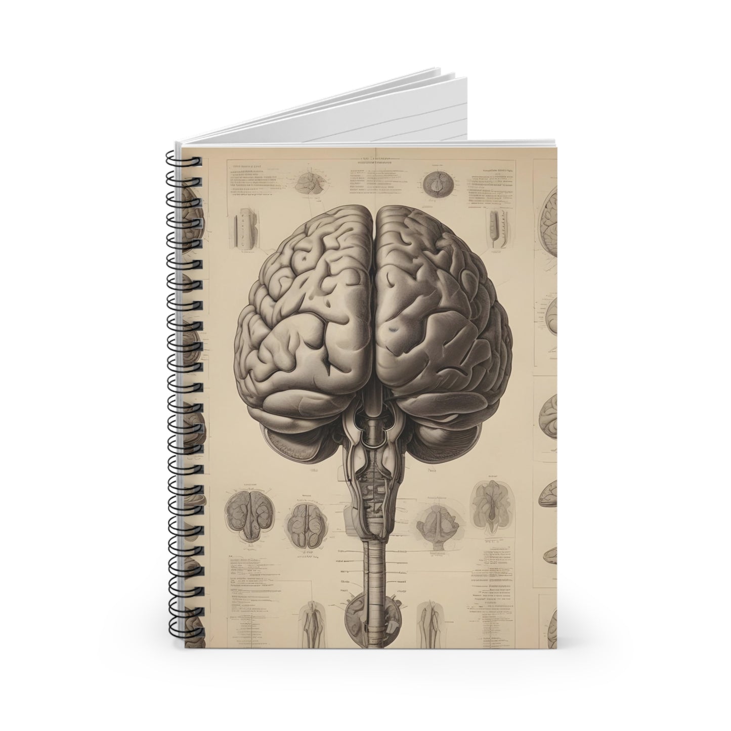 Spiral Notebook - Ruled Line w/ Anatomical Brain model