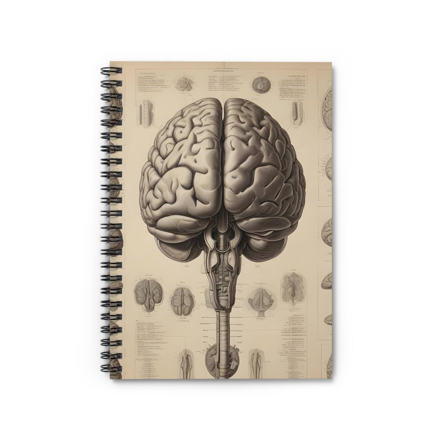 Spiral Notebook - Ruled Line w/ Anatomical Brain model