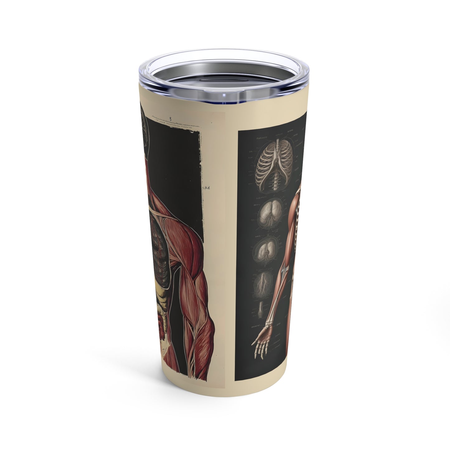 Tumbler 20oz  - Anatomical Human Body Illustration