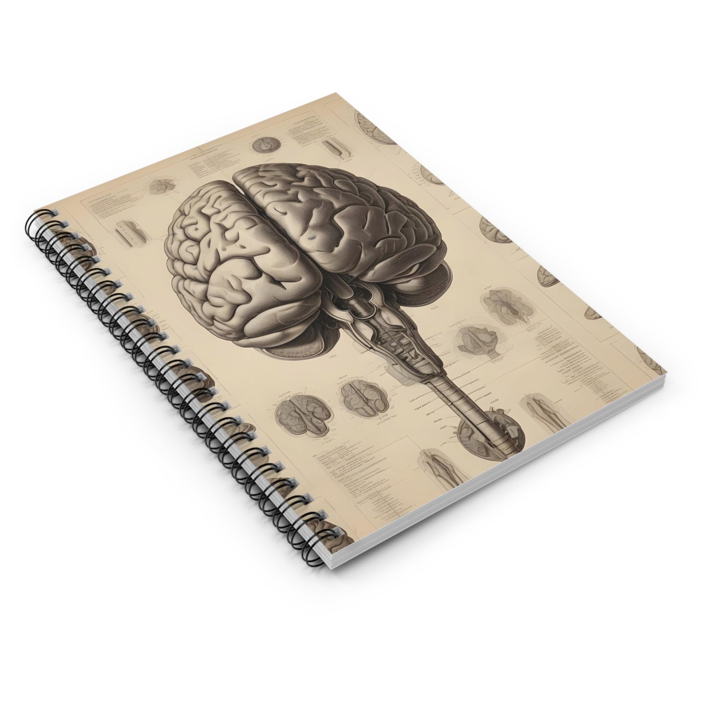 Spiral Notebook - Ruled Line w/ Anatomical Brain model