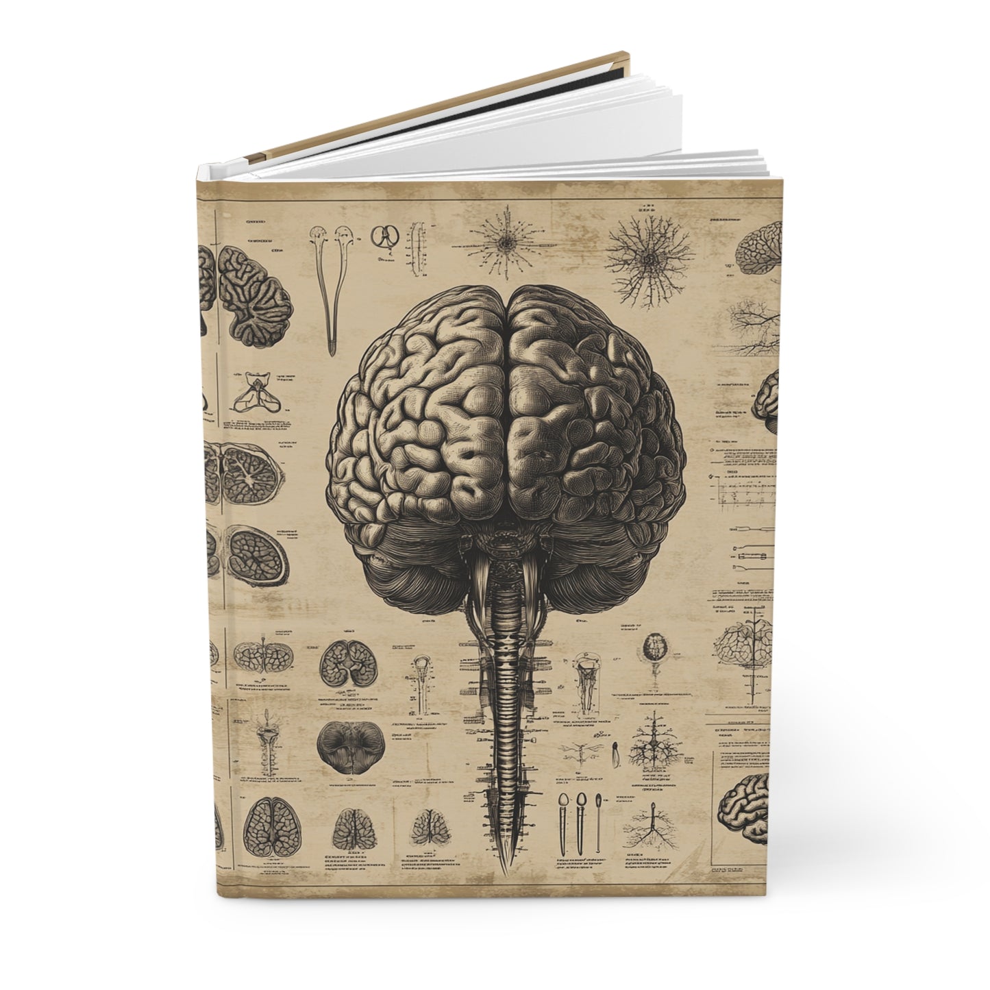 Hardcover Journal Matte - Vintage Anatomical Brains Illustration