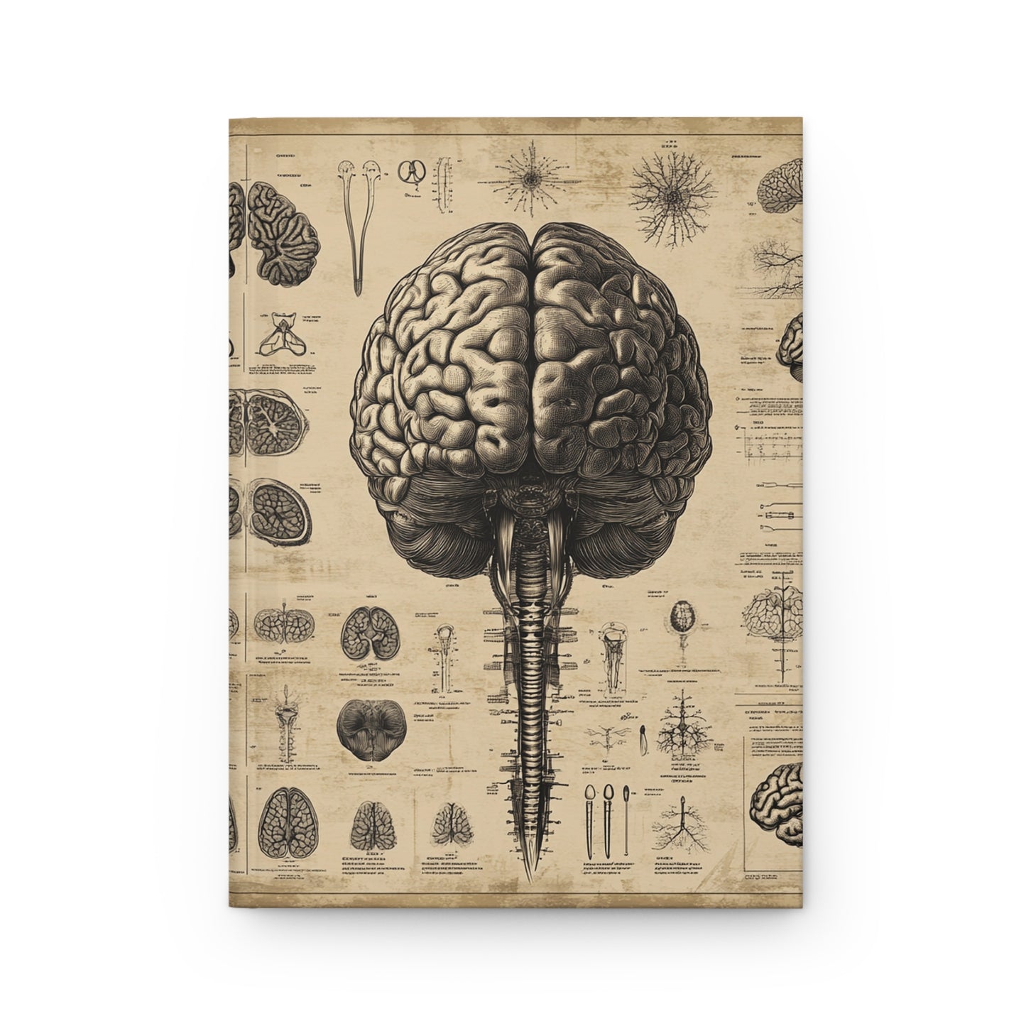 Hardcover Journal Matte - Vintage Anatomical Brains Illustration