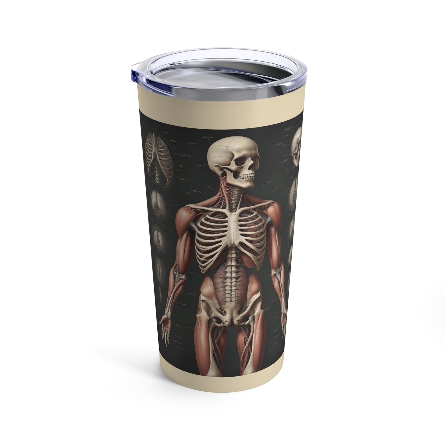 Tumbler 20oz  - Anatomical Human Body Illustration